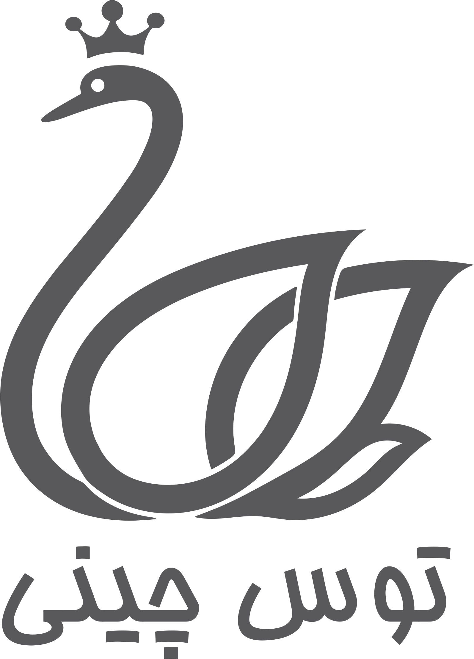 چینی توس
